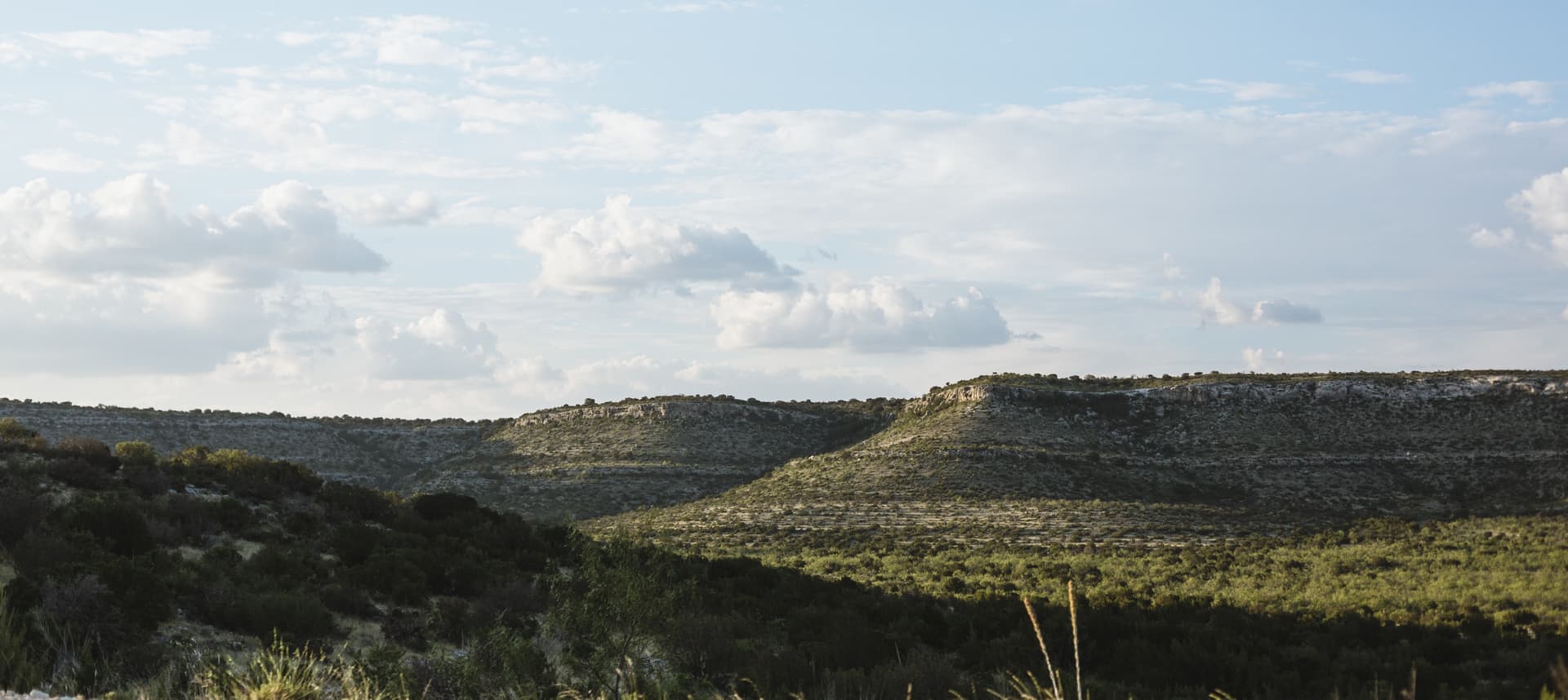 Texas Hill Country limestone bluffs