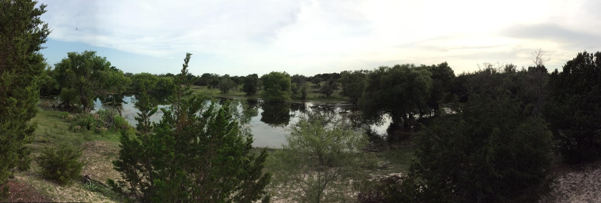Hill Country panorama