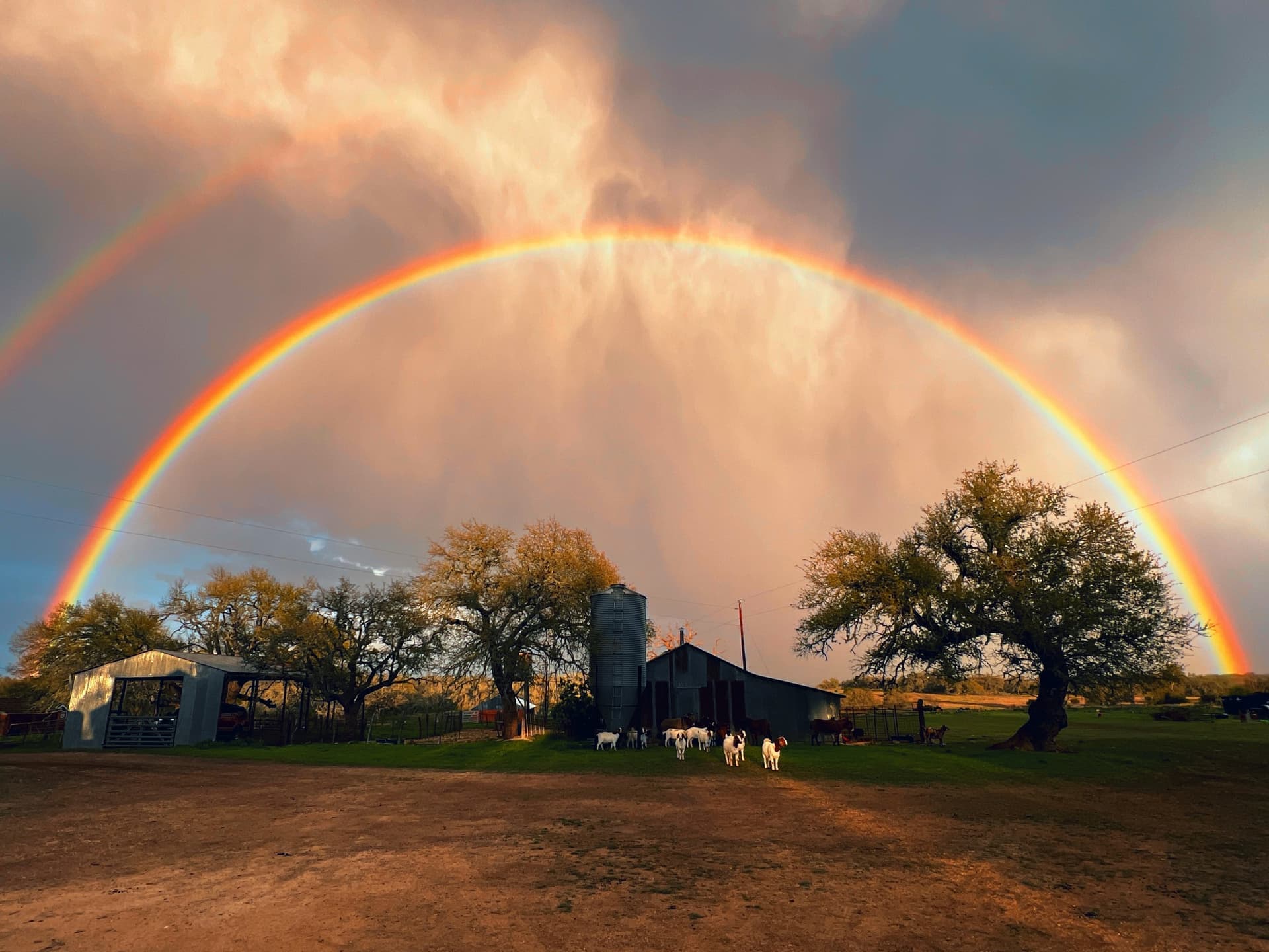 Shingle roof — drone overhead